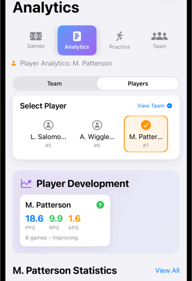 BenchVoice analytics overview showing player and team performance insights